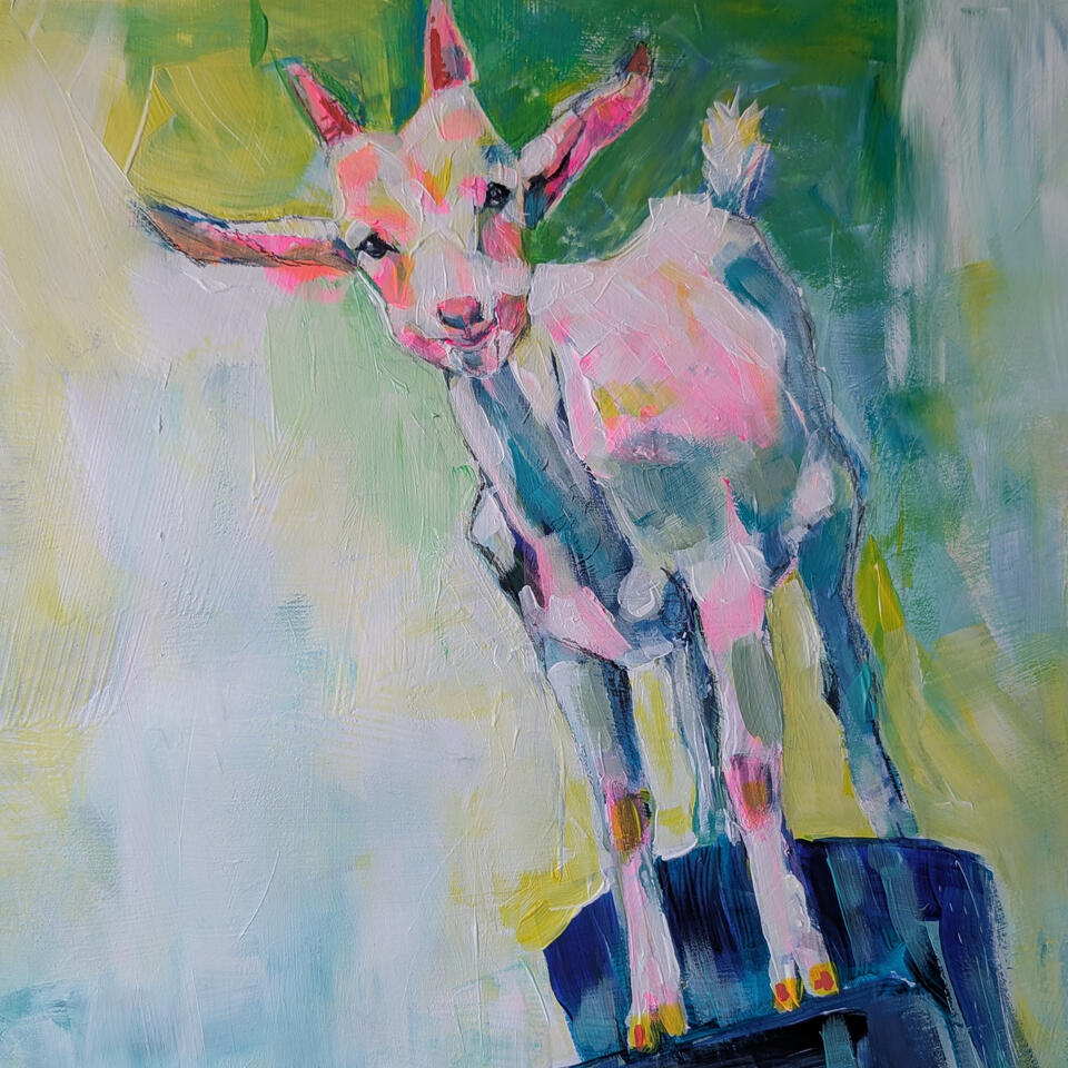 Happy Goat Happy Goat
