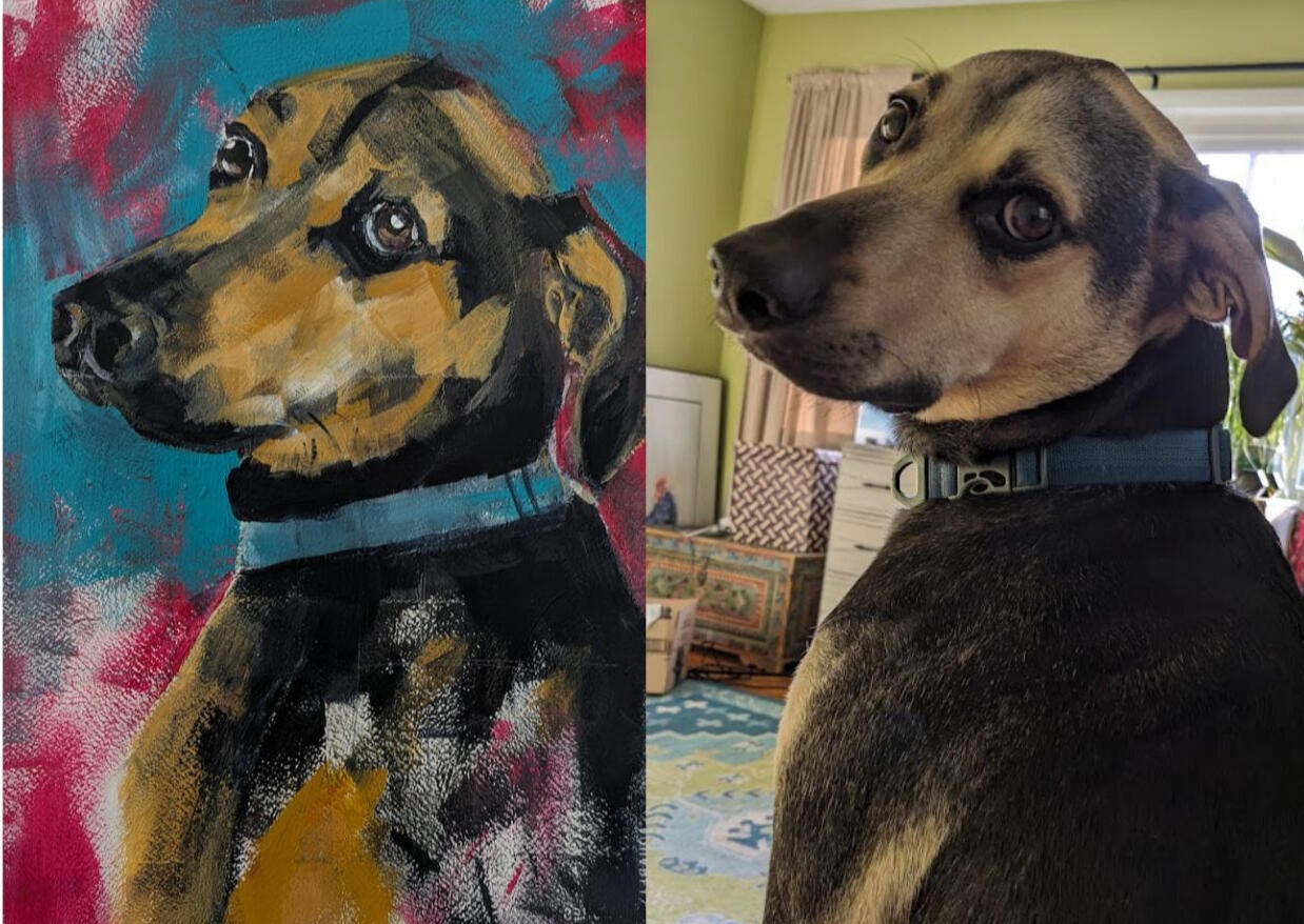 Obie Hound mix Obie Hound mix