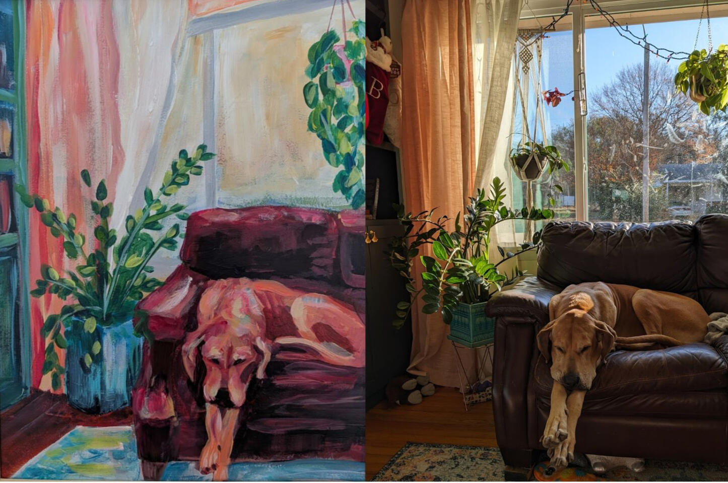 Gurl Great Dane Gurl Great Dane